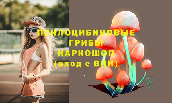 ALPHA PVP Армянск